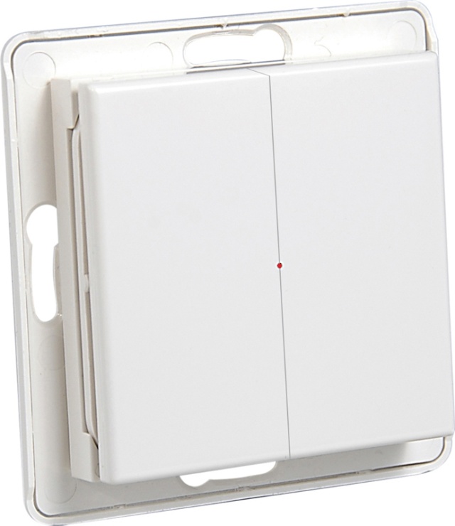 Nexa Pro WTE-2 Wireless Wall Transmitter, 2-way, live without frame, 433MHz (14712)