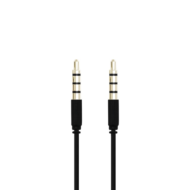 Champion 3,5mm Audio Cable 1m Black
