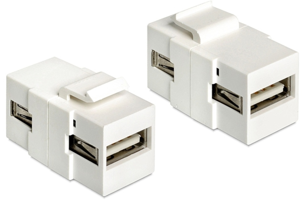 DeLOCK Keystone modul, USB 2.o Typ A ho - USB Typ A ho, vit