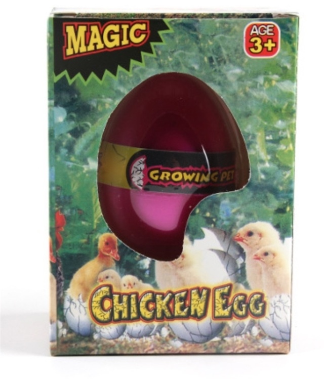 Magic Egg, Chicken