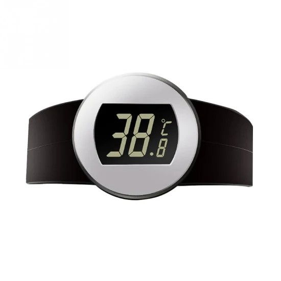 Thermometer for wine bottles