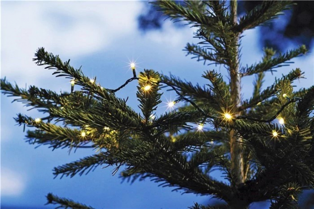 Battery-powered LED loop with timer function, 4.45 m 