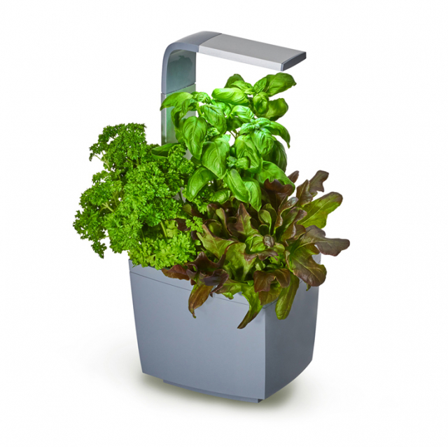 Tregren Kitchen Garden T3 Grey