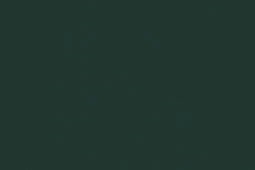 Acrylic based paint Brunswick Green 22ml