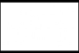 Acrylic based paint Matt White (Flat) 22ml