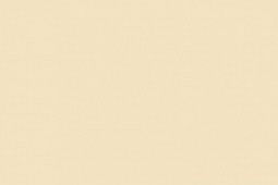 Acrylic based paint Gloss Clear Coat 22ml