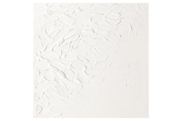 Artists Oil Col 200ML TITANIUM WHITE 644