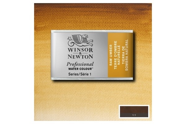 Prof Water Colour Pan/W Raw Umber 554