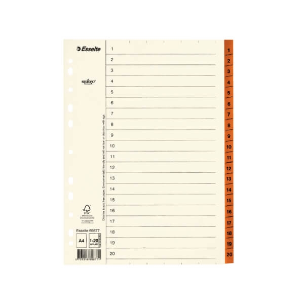 ESSELTE Register Servo A4/1-20 Brown