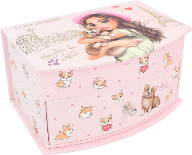 TOPModel CORGI - coral box