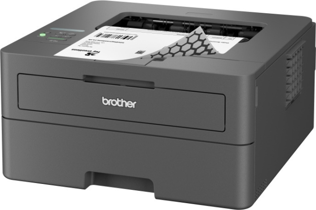 Brother HL-L2400DW black and white laser printer