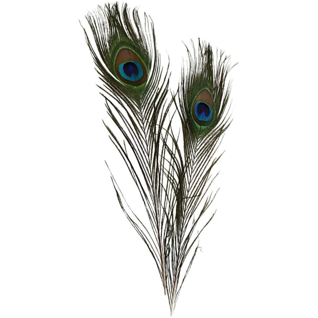 DIY Kit Peacock feathers 10pc (51810)