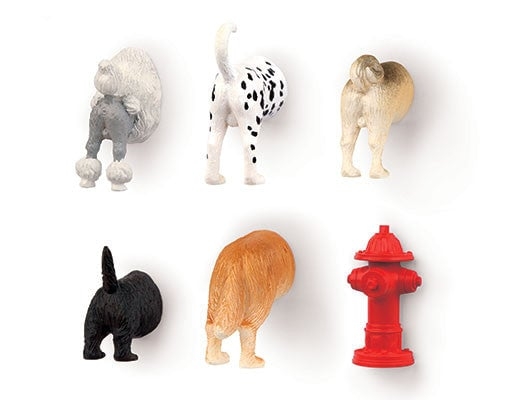 Kikkerland Dog Butt Magnets 6 Per Set