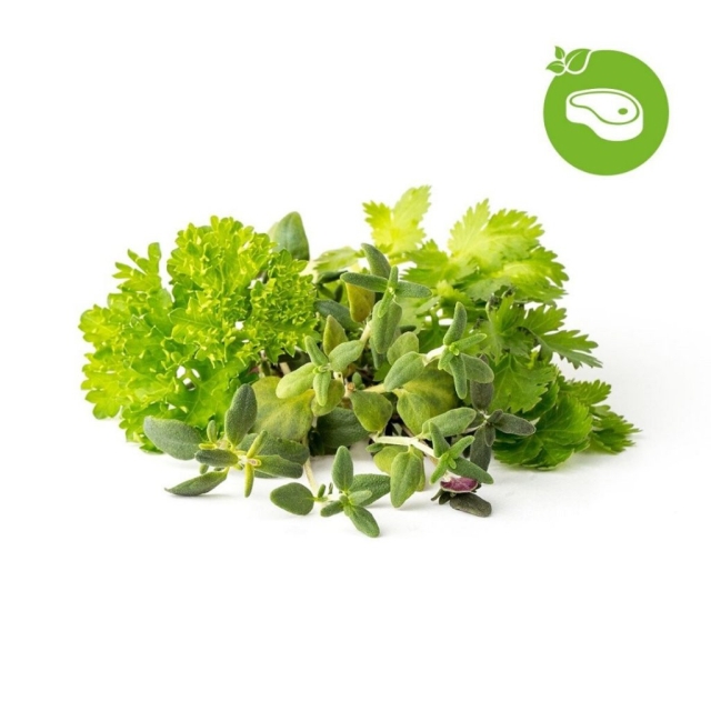 Click & Grow Smart Garden Refill 9-pack Grill & Steak Mix