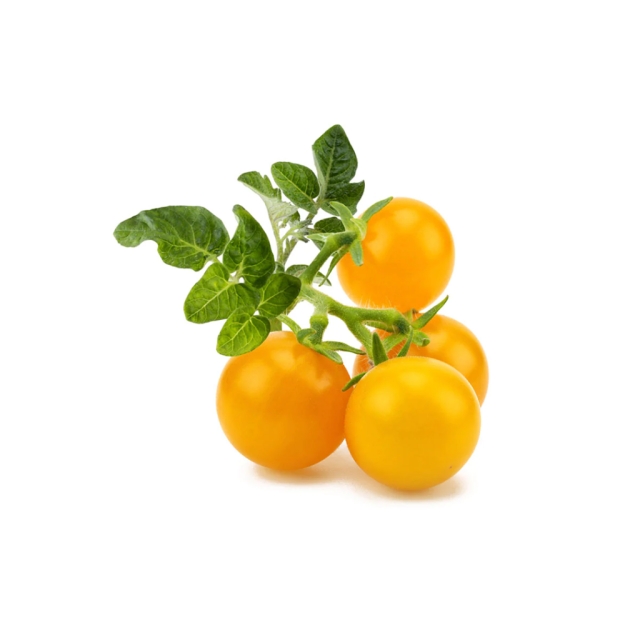 Click & Grow Smart Garden Refill 3-pack Yellow Tomato