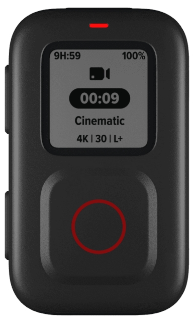 GoPro The Remote (NOR)