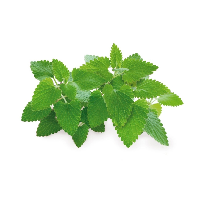 Click & Grow Smart Garden Refill 3-pack - Catnip (SGR29X3)