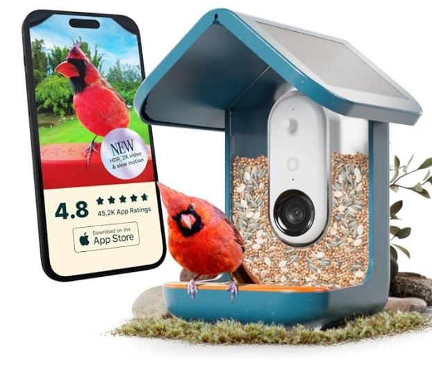 Birdbuddy Smart Bird Feeder 2.0 Blue with Solar Panel