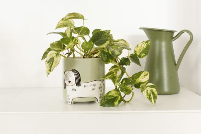 Winkee Flower pot dog - Height: 40 cm, Diameter: 13 cm