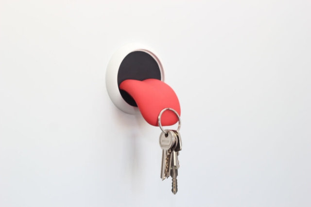 Winkee Tongue Key Holder