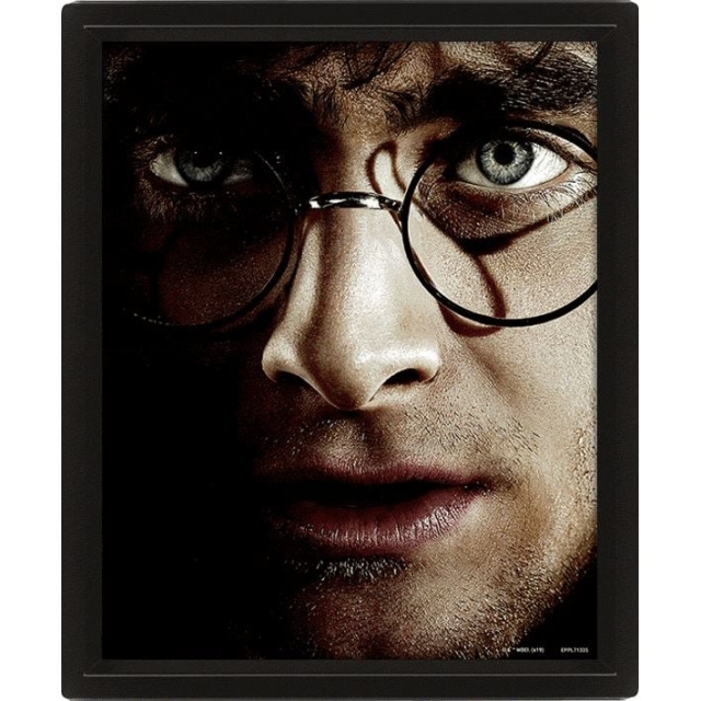 Pyramid International HARRY POTTER (HARRY VS VOLDEMORT) - FRAMED