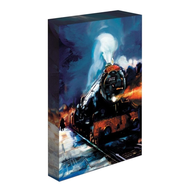 Pyramid International Light Up Canvas Harry Potter (Hogwarts Express) 30x40