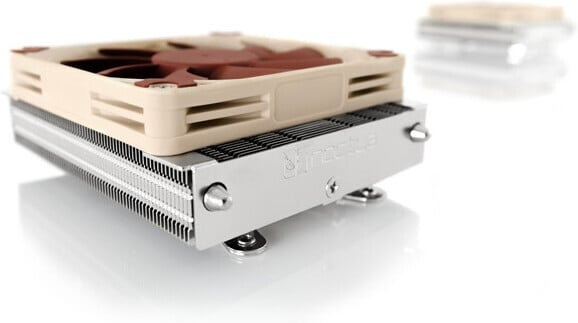 Noctua The