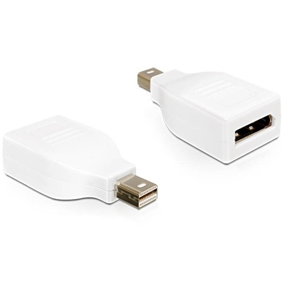 DeLOCK Mini DisplayPort till DisplayPort, vit in the group COMPUTERS & PERIPHERALS / Computer cables / DisplayPort / Adapters at TP E-commerce Nordic AB (38-16716)