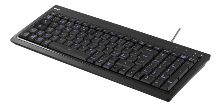 DELTACO tangentbord med bakgrundsbelysning, USB, blått ljus, svart in the group COMPUTERS & PERIPHERALS / Mice & Keyboards / Keyboards / Corded at TP E-commerce Nordic AB (38-18283)