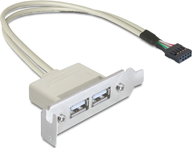 DeLOCK Slot bracket USB 2.0 low profile 2 port in the group COMPUTERS & PERIPHERALS / Computer cables / Internal / USB at TP E-commerce Nordic AB (38-19015)