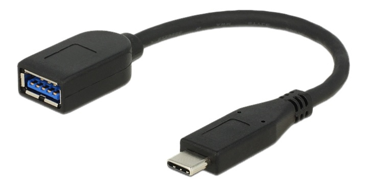 Delock Adapter SuperSpeed USB 10 Gbps (USB 3.1 Gen 2) USB Type-C male in the group COMPUTERS & PERIPHERALS / Computer cables / USB / USB-A / Adapters at TP E-commerce Nordic AB (38-53028)