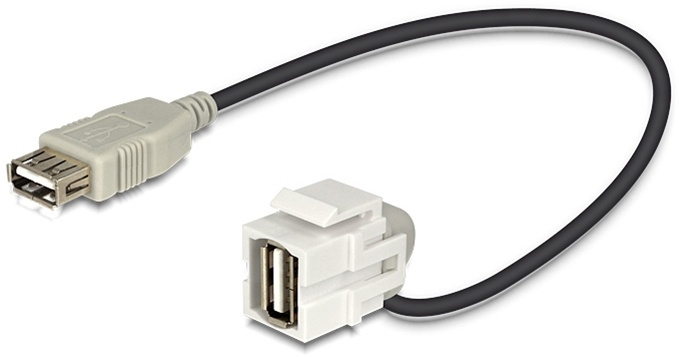 DeLOCK Keystone modul, USB 2.0 Typ A ho-USB Typ A ho, 0,2m kabel, grå in the group COMPUTERS & PERIPHERALS / Computer cables / Network cables / Adapters & Conductor joints at TP E-commerce Nordic AB (38-53093)