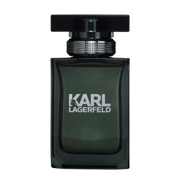 Karl Lagerfeld Pour Homme Edt 100ml in the group BEAUTY & HEALTH / Fragrance & Perfume / Perfumes / Perfume for him at TP E-commerce Nordic AB (38-58415)