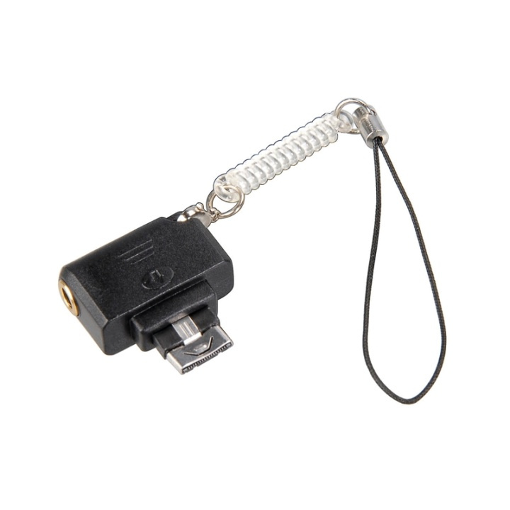 Hama Musikadapter Mini SonyEricsson in the group HOME ELECTRONICS / Audio & Picture / Headphones & Accessories / Accessories at TP E-commerce Nordic AB (38-64646)