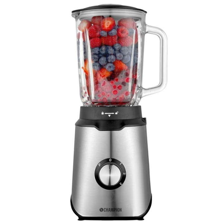 Champion Blender 600W Rostfritt stål in the group HOME, HOUSEHOLD & GARDEN / Household appliances / Food processor & Kitchen appliances / Mixer & Blenders at TP E-commerce Nordic AB (38-74023)