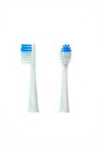 Camry toothbrush head for CR 2158 in the group BEAUTY & HEALTH / Oral care / Accessories for electric toothbrushes at TP E-commerce Nordic AB (38-75083)