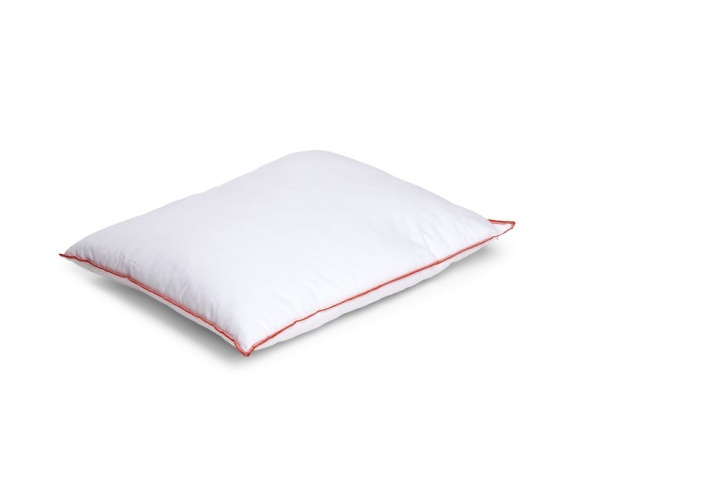 Queen Anne Kudde Hög 500G Vit in the group HOME, HOUSEHOLD & GARDEN / Interior / Pillows at TP E-commerce Nordic AB (38-75530)