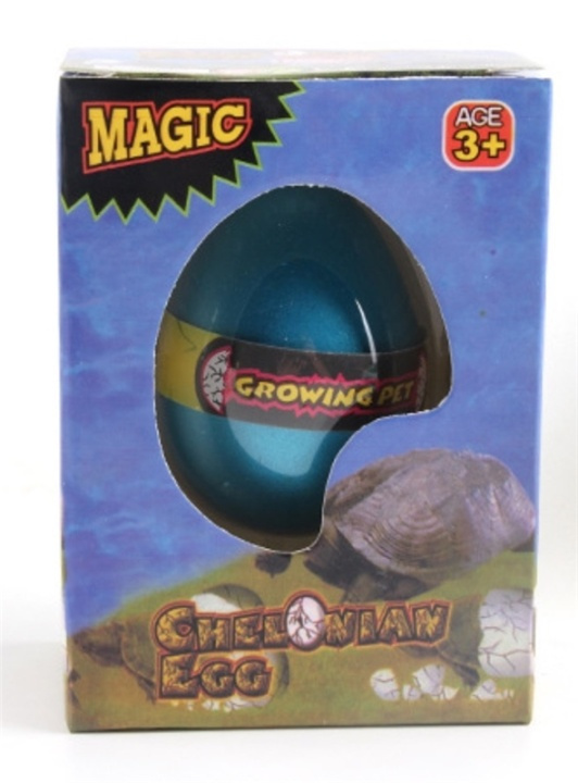 Magic Egg, Turtle in the group TOYS, KIDS & BABY PRODUCTS / Toys / Toys at TP E-commerce Nordic AB (38-81780)