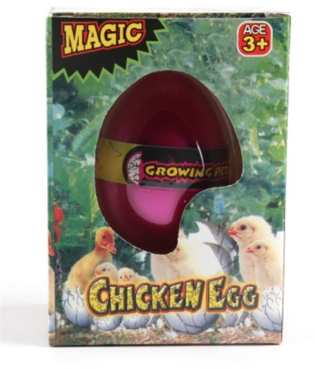 Magic Egg, Chicken in the group TOYS, KIDS & BABY PRODUCTS / Toys / Experiment & DIY at TP E-commerce Nordic AB (38-81782)