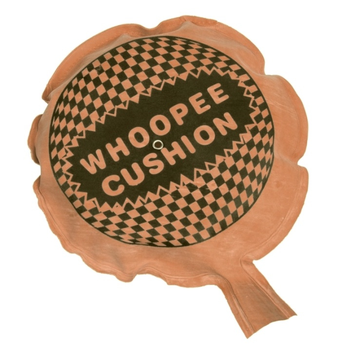 Whoopee Cushion - Brun in the group TOYS, KIDS & BABY PRODUCTS / Toys / Toys at TP E-commerce Nordic AB (38-82314)