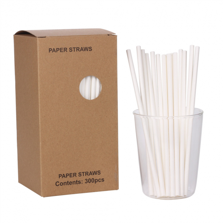 Disposable paper drinking straws, 300pcs in the group TOYS, KIDS & BABY PRODUCTS / Eat & Drink / Children\'s party at TP E-commerce Nordic AB (38-83192)