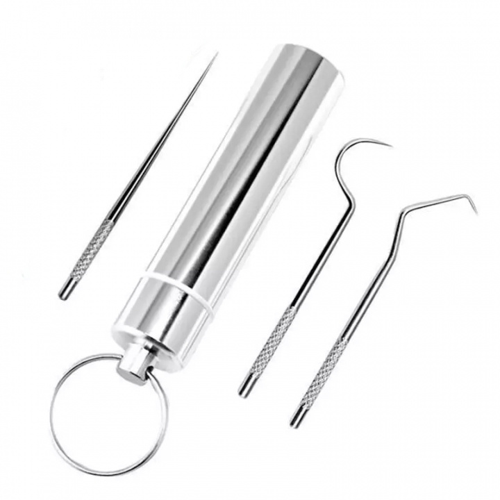 Stainless steel toothpick set in the group BEAUTY & HEALTH / Oral care / Accessories for electric toothbrushes at TP E-commerce Nordic AB (38-83723)