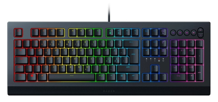 Razer Cynosa V2 Trådat tangentbord med RGB in the group COMPUTERS & PERIPHERALS / Mice & Keyboards / Keyboards / Corded at TP E-commerce Nordic AB (38-89979)