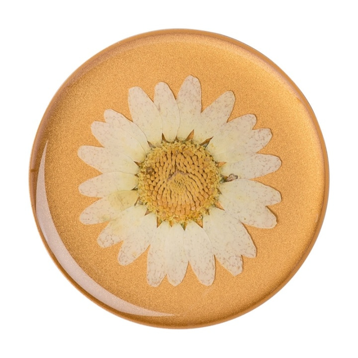 POPSOCKETS Pressed Flower White Daisy Removable Grip with Standfunction Premium in the group SMARTPHONE & TABLETS / Other accessories / Popsockets at TP E-commerce Nordic AB (38-92140)