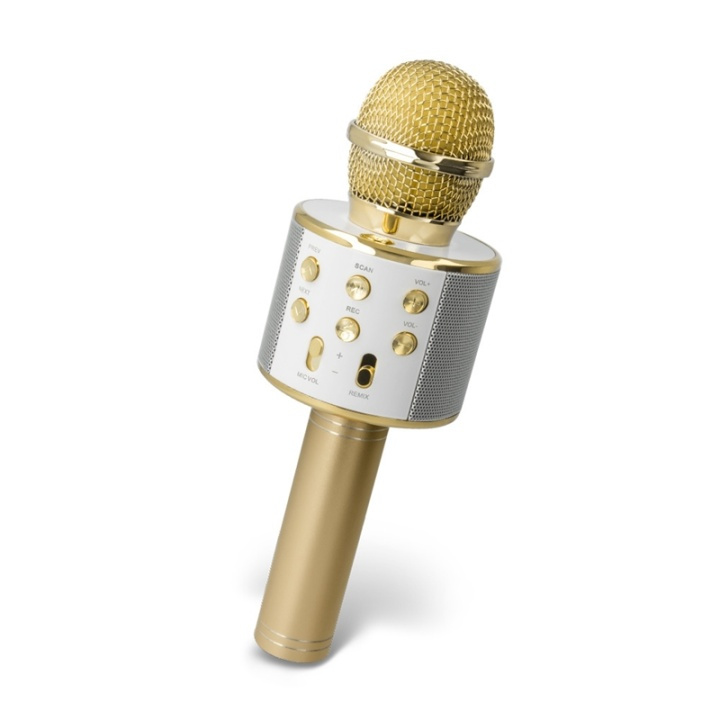 Forever BMS-300 Microphone with Bluetooth Speaker, Gold in the group HOME ELECTRONICS / Audio & Picture / Handheld Microphones at TP E-commerce Nordic AB (38-92731)