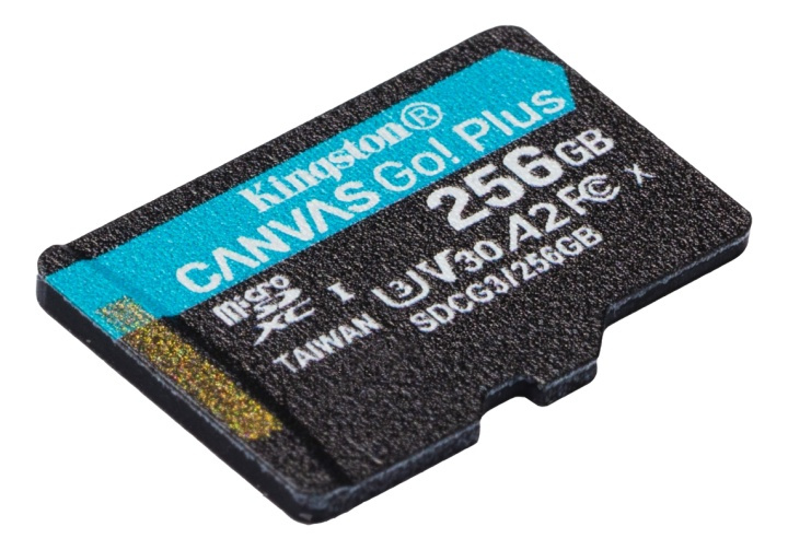 Kingston 256GB microSDXC Canvas Go Plus 170R A2 U3 V30 no Adapter in the group HOME ELECTRONICS / Storage media / Memory cards / MicroSD/HC/XC at TP E-commerce Nordic AB (38-93406)