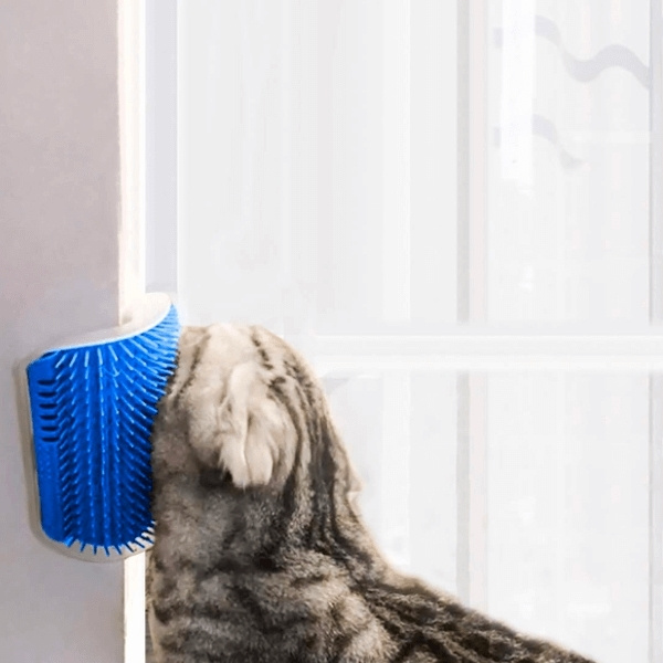 Cat massager, Blue in the group HOME, HOUSEHOLD & GARDEN / Pet Accessories / Cat at TP E-commerce Nordic AB (38-94189)