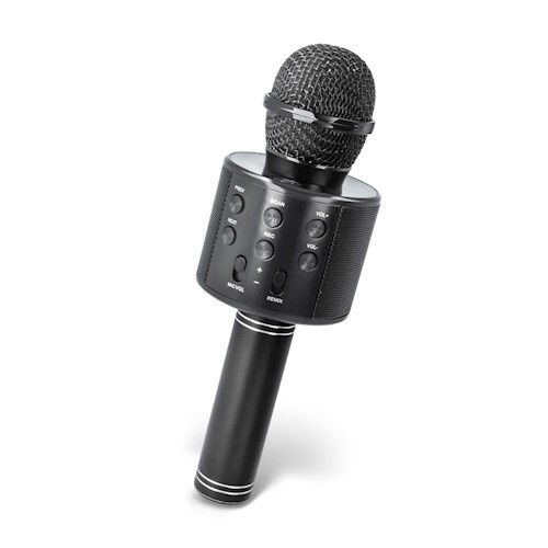 Maxlife Microphone with Bluetooth speaker incl. case, MX-300, Black in the group HOME ELECTRONICS / Audio & Picture / Speakers & accessories / Accessories at TP E-commerce Nordic AB (38-98168)