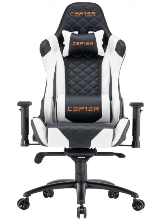 Cepter Rogue Black & White Gamingstol in the group COMPUTERS & PERIPHERALS / GAMING / Gaming chairs at TP E-commerce Nordic AB (38-98941)