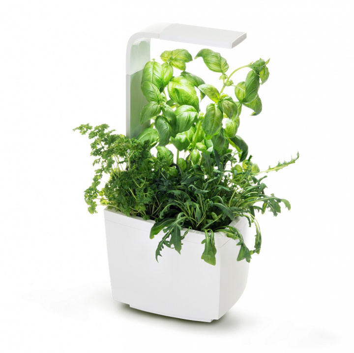 TREGREN Kitchen Garden T3 White in the group Sport, leisure & Hobby / Fun stuff / Smart home at TP E-commerce Nordic AB (A04809)
